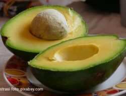 Simpan dengan bahan ini, potongan alpukat bisa tahan lima hari tanpa masuk kulkas