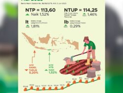 Nilai tukar petani di NTB meningkat hampir di seluruh sub sektor