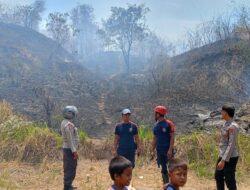 Bukit Montong Gedeng Kayangan terbakar, api berhasil dipadamkan setelah 2 jam