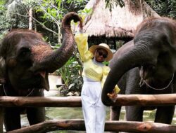 Tempat wisata terdekat dari Kota Mataram yang ada di Lombok Utara