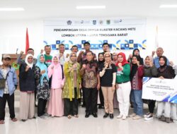 Kacang mete Lombok Utara tembus pasar New Zealand dan Singapura, KLU jadi desa devisa pertama di NTB