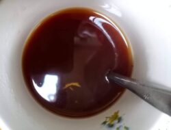 Cara membuat serbat, minuman herbal khas Lombok yang punya banyak khasiat