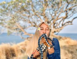 Pulau Ular Bima, destinasi wisata yang memacu adrenalin, kamu berani coba?