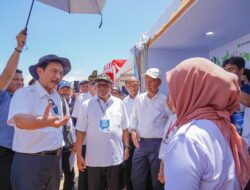 Datang ke NTB, Luhut tinjau Teluk Ekas sebagai pusat budidaya rumput laut
