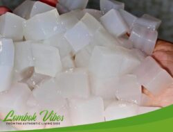 Nata de coco terbuat dari plastik, benarkah?