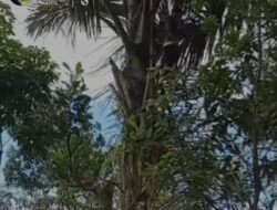 [HOAKS] Video Caleg gantung diri di Ciwidey