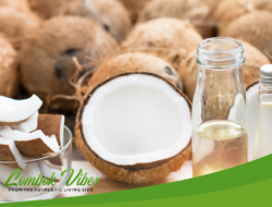 Gedung sentra olahan kelapa Lombok Utara kini mulai beroperasi