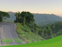 Tak gelap lagi, 80 lampu penerangan akan dipasang di Jalan Pusuk tahun 2025 ini