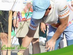 Ribuan pohon cemara udang ditanam untuk cegah tsunami di Kota Mataram