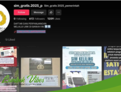 [HOAKS] Akun pembuatan SIM gratis 2025