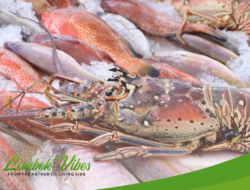Ikan dan udang menjadi primadona ekspor NTB per Maret 2025