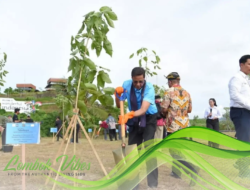 Ketika para delegasi gastrodiplomacy ikut tanam pohon di Mandalika, aksi untuk lingkungan