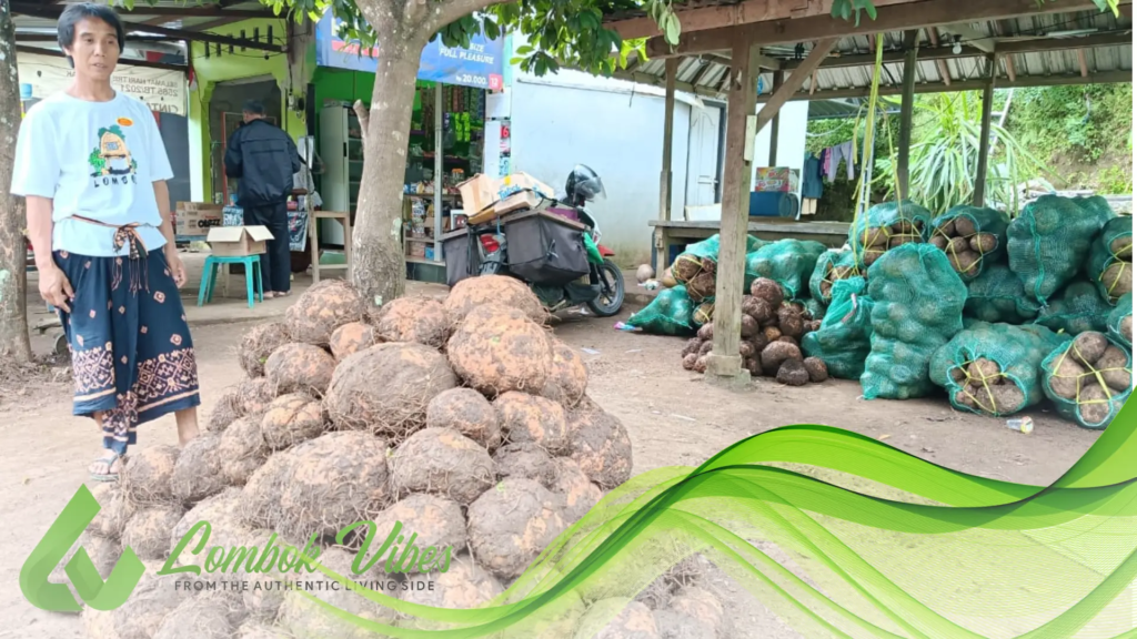 Property of Lombokvibes media.