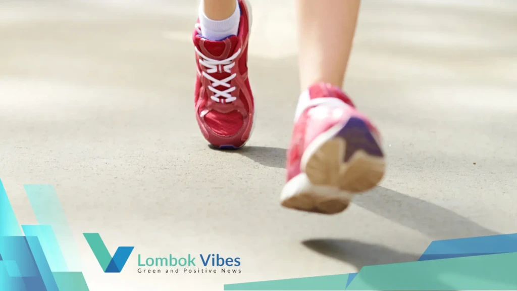 Property of Lombokvibes.com