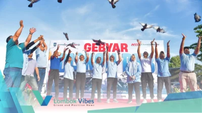 Property of Lombokvibes.com