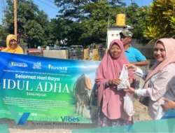 Tebar Qurban 2025, Bank NTB Syariah salurkan 66 ekor sapi untuk masyarakat 