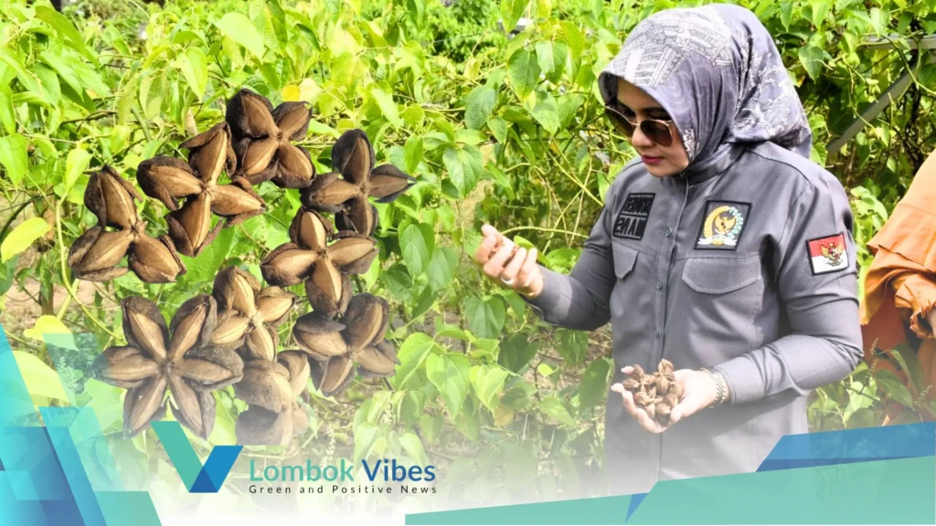 Property of Lombokvibes.com