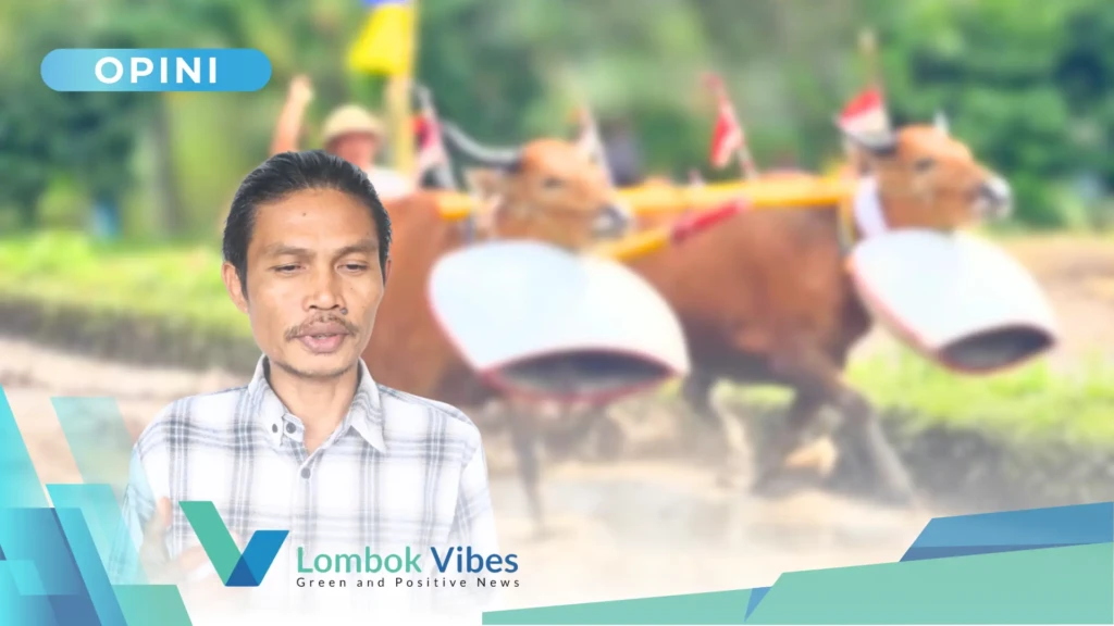 Property of Lombokvibes.com