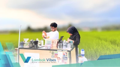 Property of Lombokvibes.com