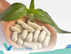 Pemprov NTB dan BBPOM satukan langkah berantas obat herbal ilegal