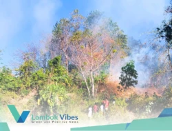 Kebakaran lahan di Selengen berhasil dipadamkan