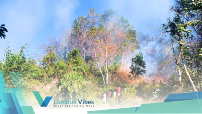 Property of Lombokvibes.com