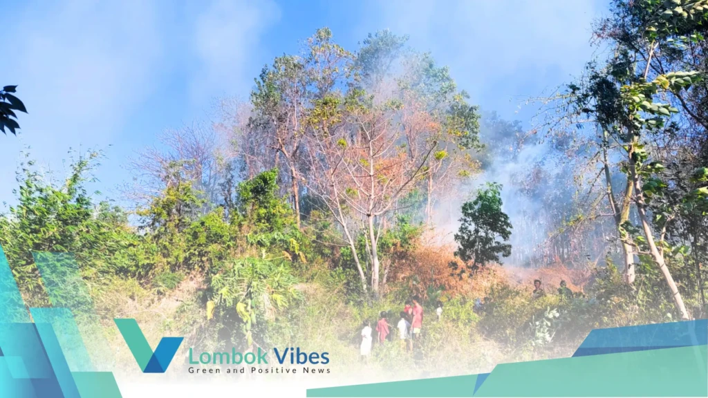 Property of Lombokvibes.com