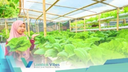 Property of Lombokvibes.com
