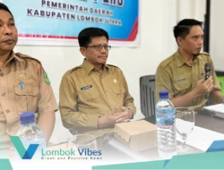 Pemda bentuk dua tim khusus untuk benahi layanan kesehatan di Lombok Utara