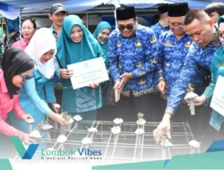 Perempuan Lombok Utara bergerak selamatkan laut, tanam terumbu karang dan dorong ekonomi pesisir tumbuh