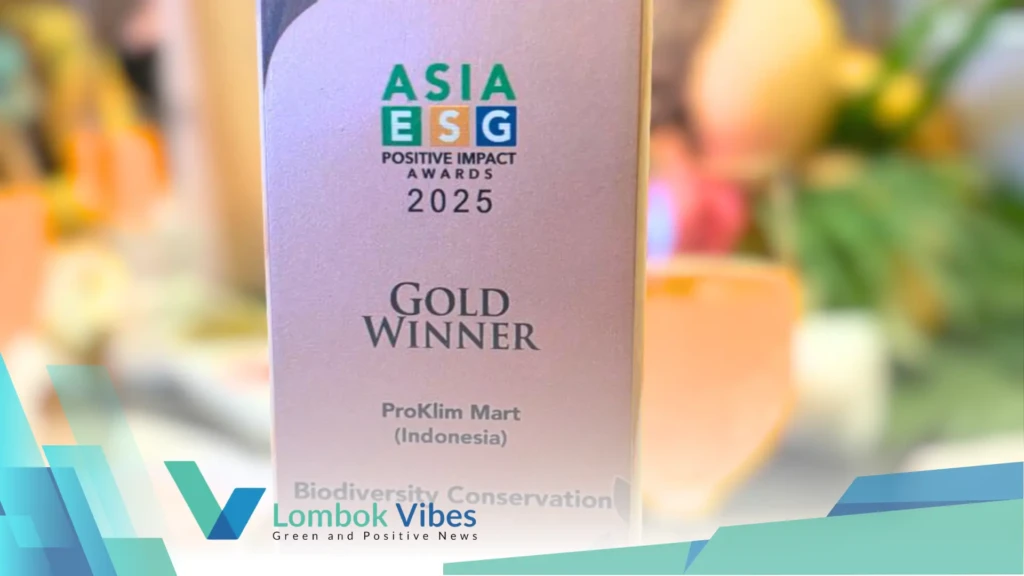 Property of Lombokvibes.com