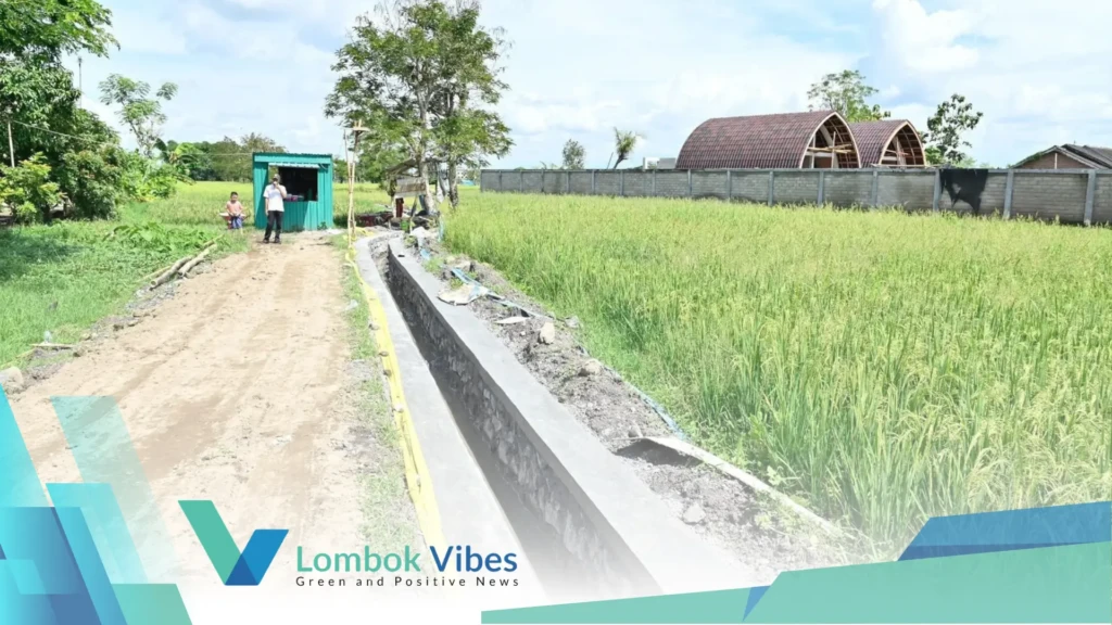 Property of Lombokvibes.com