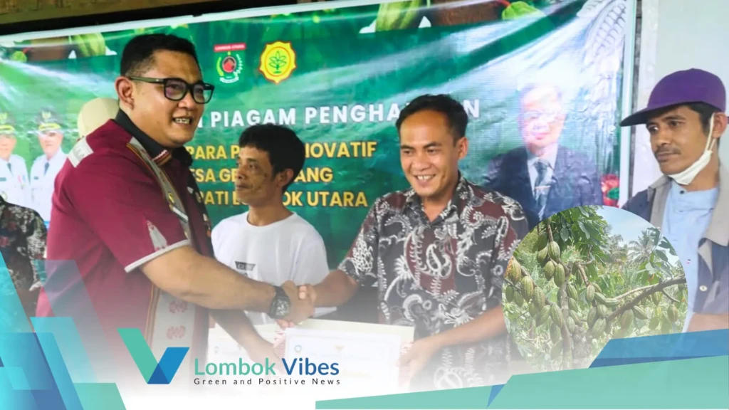 Property of Lombokvibes.com