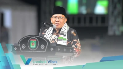 Property of Lombokvibes.com