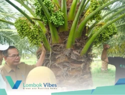 Dua inovasi NTB masuk penilaian IGA 2025, ROSSI Mandalika dan Kurma KLU