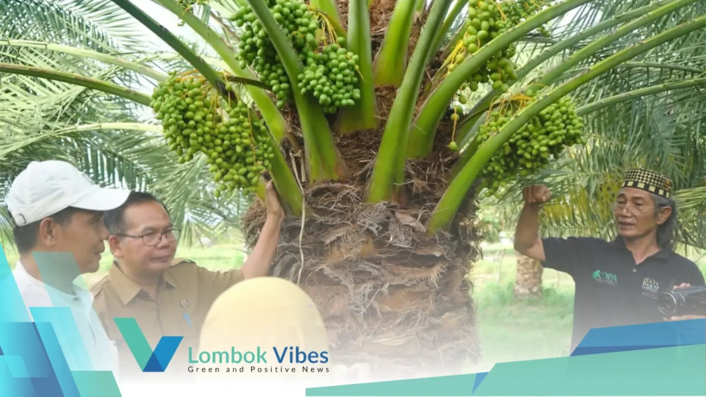 Property of Lombokvibes.com