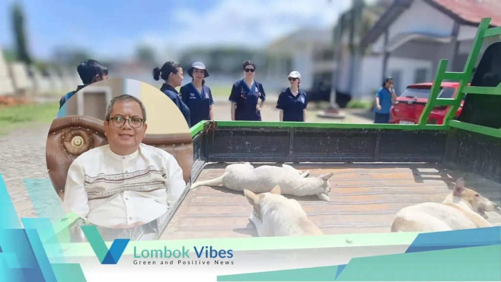 Property of Lombokvibes.com