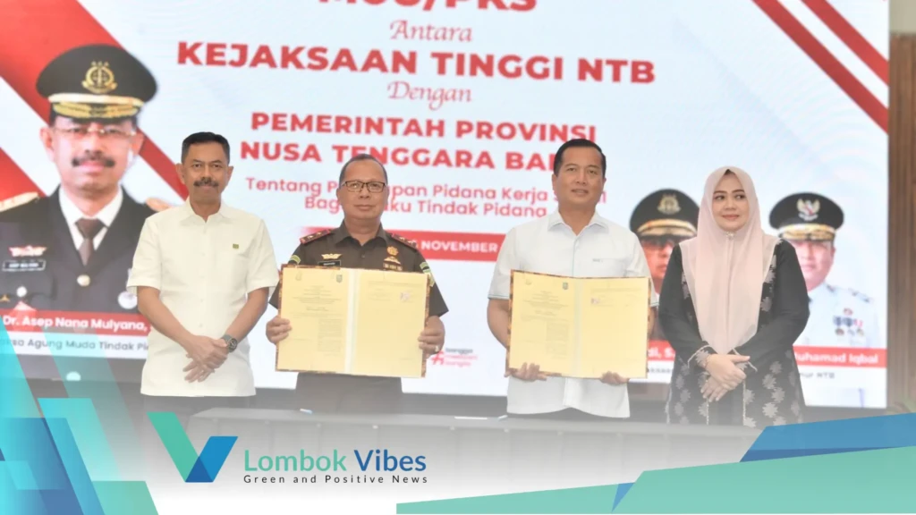 Property of Lombokvibes.com