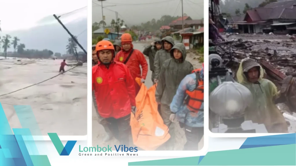 Property of Lombokvibes.com