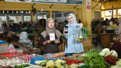 334e9447-80bf-4193-bb18-fdedf1a1aec6