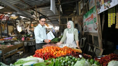 d0da9d19-5994-4d94-b1e9-db0aa8430da3