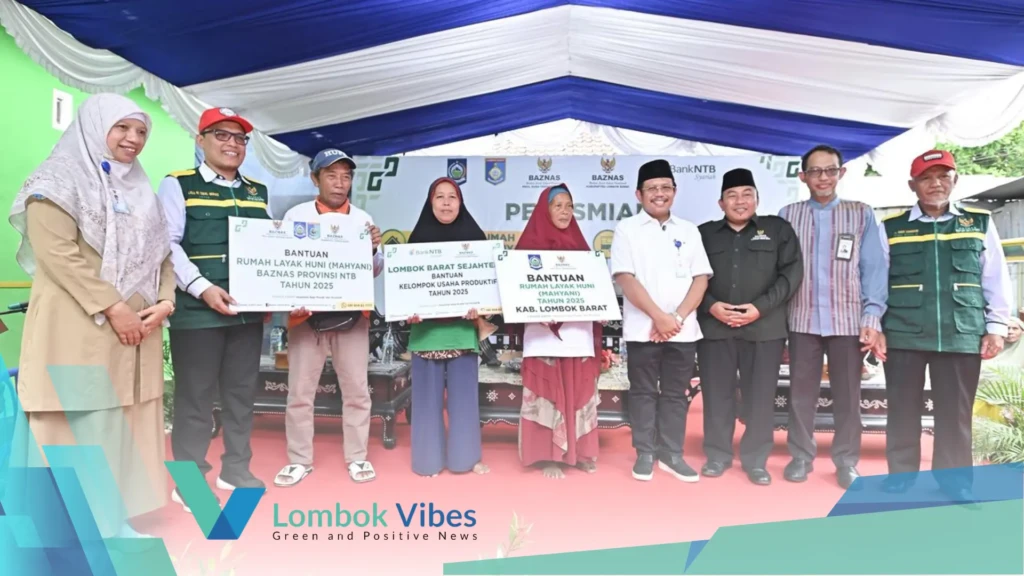 Property of Lombokvibes.com