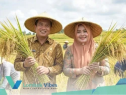 Produksi padi NTB 2025 melonjak 16,85 persen