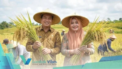 Property of Lombokvibes.com