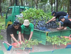 Kado hijau untuk Sumbawa di usia 67 tahun, Bank NTB Syariah bangun Nursery Farm sebagai investasi masa depan