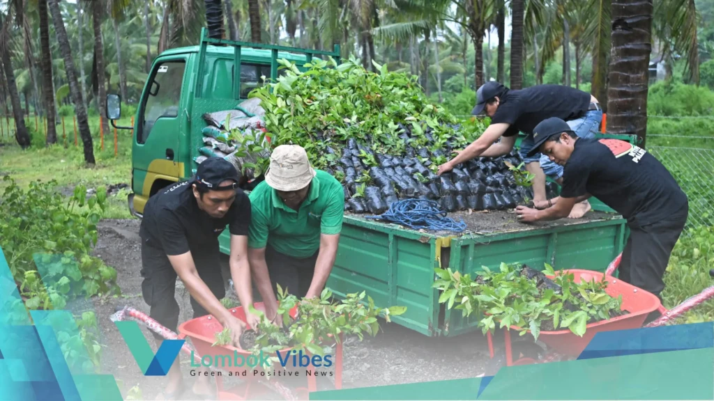 Property of Lombokvibes.com