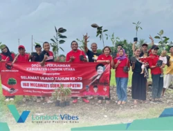 Kado lingkungan untuk Ibu Megawati, DPC PDI Perjuangan Lombok Utara tanam pohon di jalan dan sumber mata air