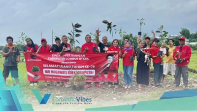 Property of Lombokvibes.com