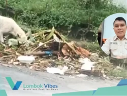 DPRD KLU sentil Pemda soal sampah liar: Bukan sekedar salah warga, tapi minim fasilitas dan matinya TPS3R