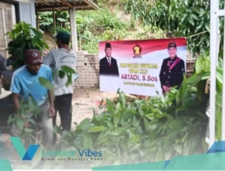 Dorong penghasilan petani, DPRD KLU salurkan bibit kakao untuk warga